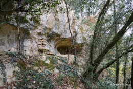 colline,crèche,taille 033.JPG