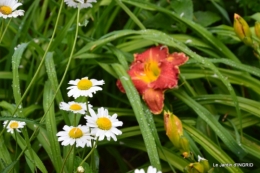 maison,jardin Bernadette,et jardin Claudine 067.JPG