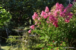 dahlias,jardin,puces st Avit Seigneur,Paniers Issigeac,Romane 037.JPG