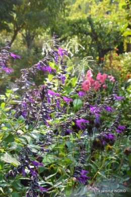 male ancienne,septembre jardin,couronne,bouquet 062.JPG