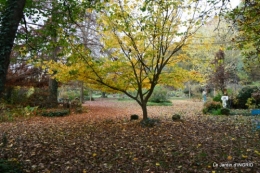 Romefort,bord de Creuse,vent,feuilles,jardin,canal 166.JPG