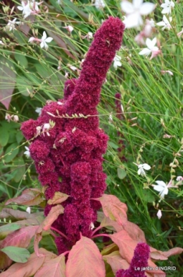 jardin,papillons,anniversaire d'Ines,bricolage 076.JPG
