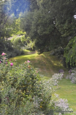 asters,bouquets,jardin de Lilianne 100.JPG