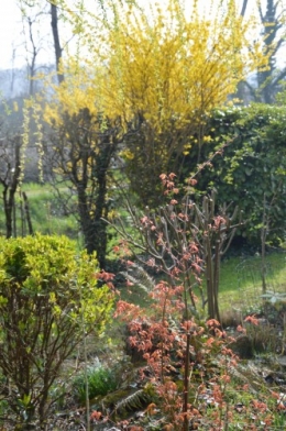 chevreuil,jardin,Paques avec les enfants 049.JPG