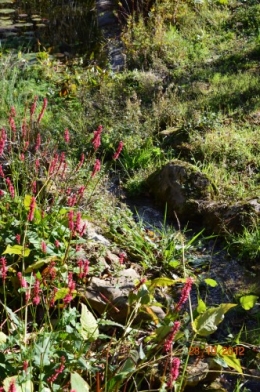 octobrejardin,citrouillesIssegeac,leCLOSdesSOURCES 124.JPG