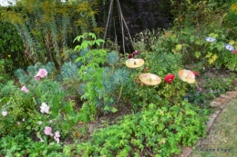 jardin de Marie,éoliennes,Ciron,Angles,Fontgombault 141.JPG