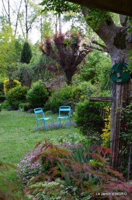 jardin avril 122.JPG