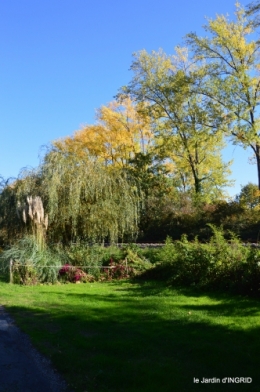 jardin automne,voisinage,canal 156.JPG