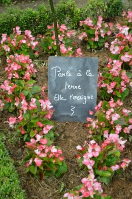 tour du jardin en juin 012.JPG