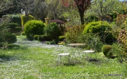 jardin printemps 001.JPG