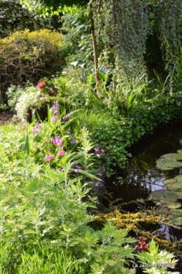 jardin soir et matin 071.JPG