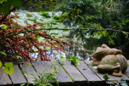 jardin pluie,chateau Losse 038.JPG