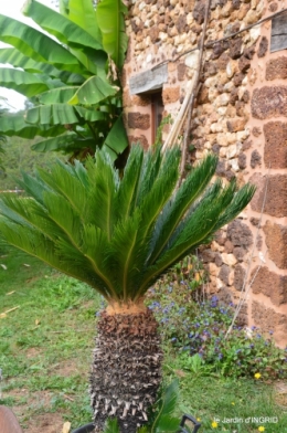 chez Willy,jardin 094.JPG
