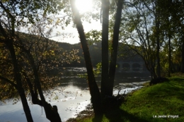 sentier des cygnes,automne novembre 106.jpg