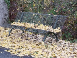 le canal,le banc