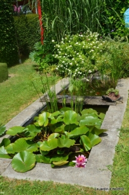 inondation,jardin,oeufs cygnes,chez Nathalie 064.JPG