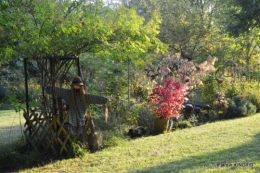 male ancienne,septembre jardin,couronne,bouquet 093.JPG