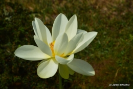 les jardins d'eau de Carsac 049.JPG