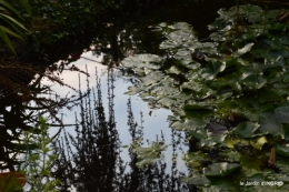 jardin en septembre,les cygnes 145.JPG