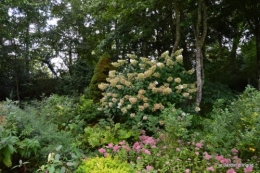 asters,bouquets,jardin de Lilianne 032.JPG