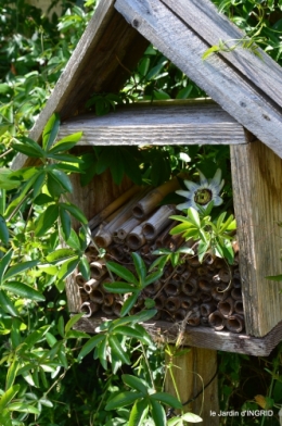 jardin,coeur des fleurs,potager, 162.JPG