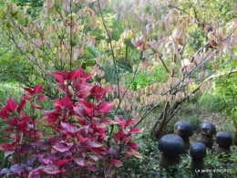 male ancienne,septembre jardin,couronne,bouquet 044.JPG