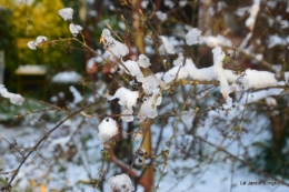 Neige en dordogne,jardin 175.JPG