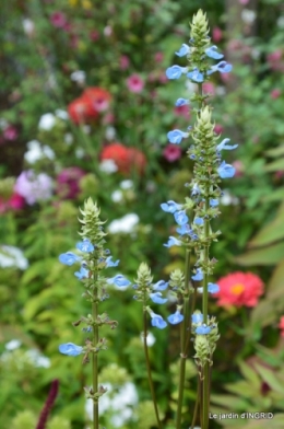 jardin,papillons,anniversaire d'Ines,bricolage 075.JPG
