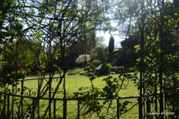 jardin confiné ,osier,magnolia jaune 149.JPG