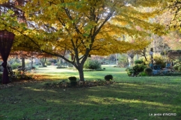 canal,automne,tonte des feuilles 090.JPG