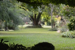 aout jardin 014.JPG