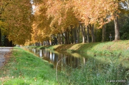 canal automne ,jardin,Ines 085.JPG
