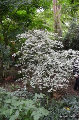 le jardin de liliane