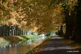 canal automne ,jardin,Ines 090.JPG