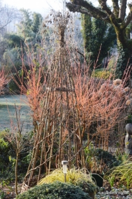 givre,jardin,bouquet 001.JPG