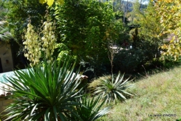 rhus,colline,buis taillé,noix,manthe religieuse,bouquet 091.JPG