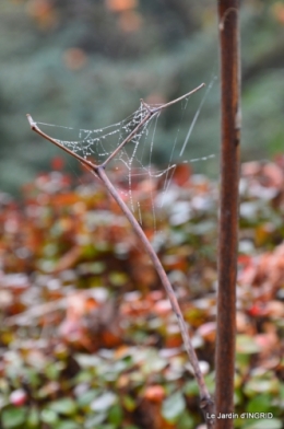 brume,dentelles,fleurs,Noel Jardiland 051.JPG