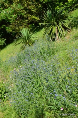 chez Fabien,le canal,jardin,hémérocalles,le souci,potager 114.JPG