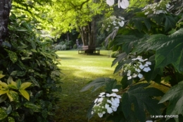 inondation,jardin,oeufs cygnes,chez Nathalie 044.JPG