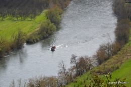 Marqueyssac,bassin,puces Beaumont 047.JPG