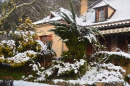 Neige en dordogne,jardin 127.JPG