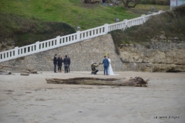 Royan,les cigognes,helebores 088.JPG