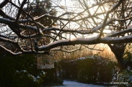 Neige en dordogne,jardin 165.JPG