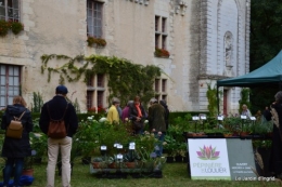 jardin,St Avit Seigneur brocante,Neuvic fête des plantes 110.JPG