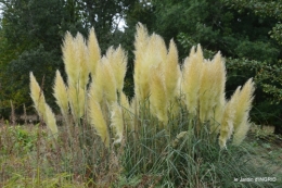 chez Willy,jardin 067.JPG