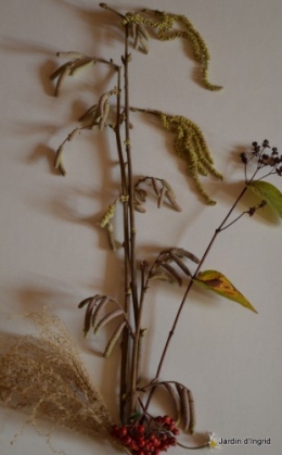 matin d'hiver,tableaux de fleurs janvier 061.JPG