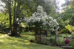 portes ouvertes,taille marguerittes,jardin 012.JPG