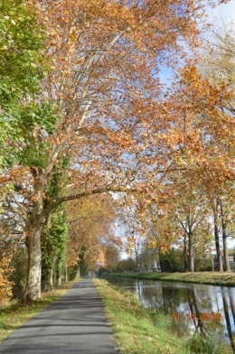 le canal,le banc