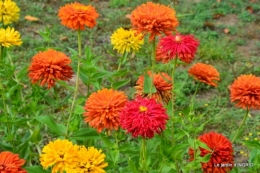 jardin,papillons,anniversaire d'Ines,bricolage 090.JPG