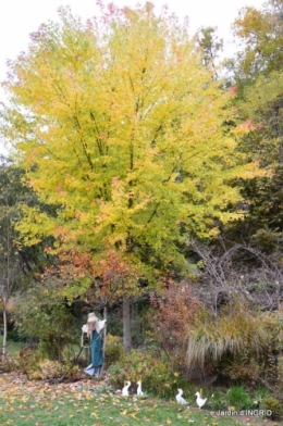 les arbres en automne,cabane 042.JPG